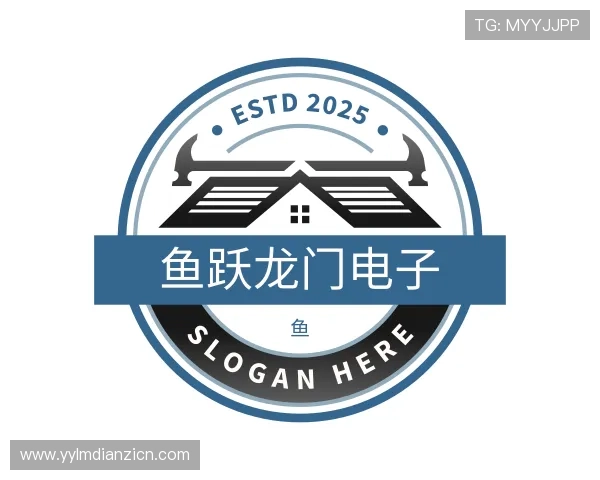 认识鱼跃龙门电子